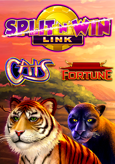 Split N Win Link Cats and Fortune Video Slots Graphic